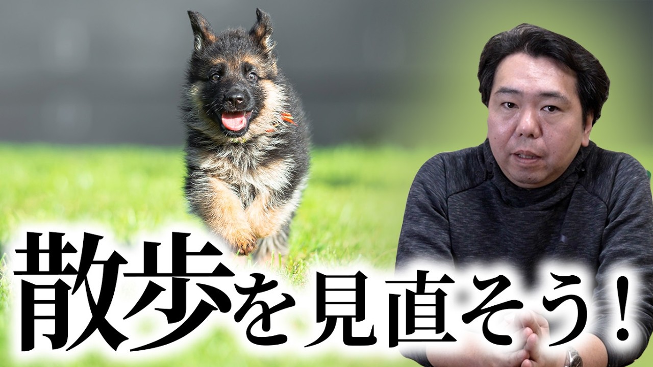 やっぱり散歩が大事！吠え・拾い食いが改善する理由