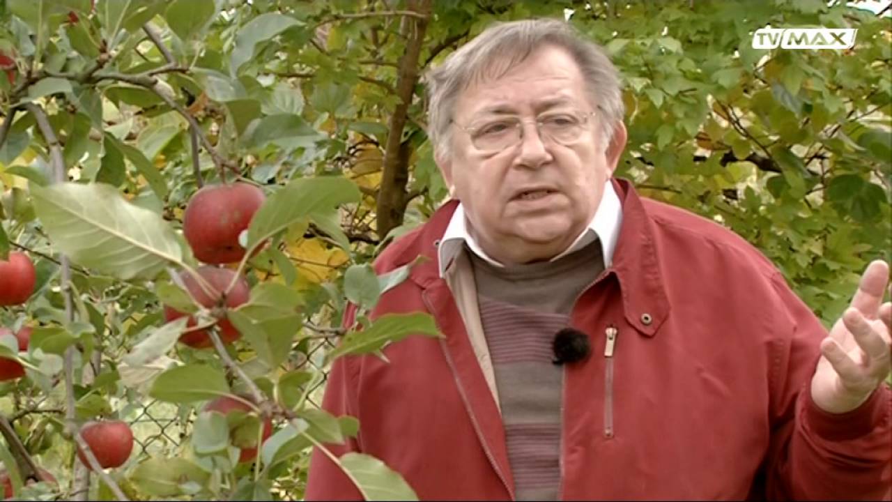 Ogród na miarę - 2016.10.15 - Jablka i gruszki