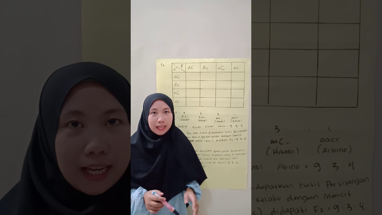 Pembelajaran Interaksi Gen pada Epistasis Resesif
