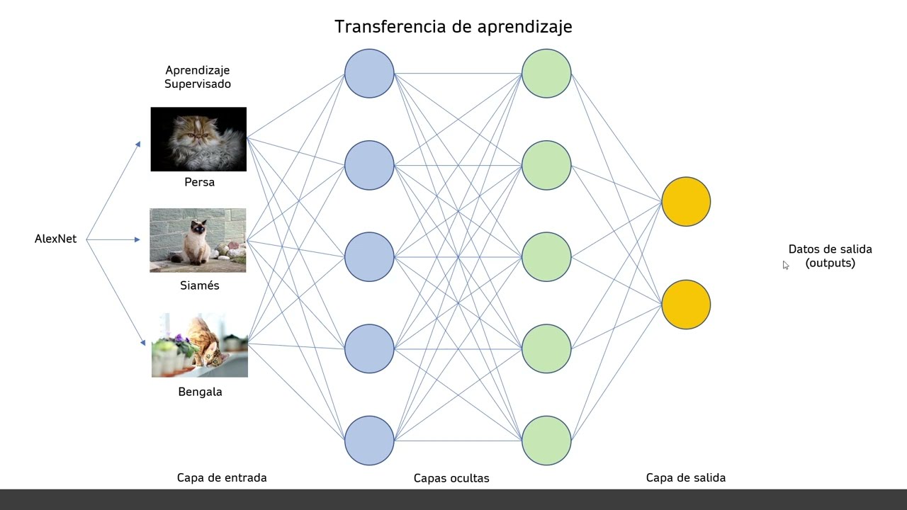 Transferencia de aprendizaje en Deep learning | Transfer Learning en MATLAB