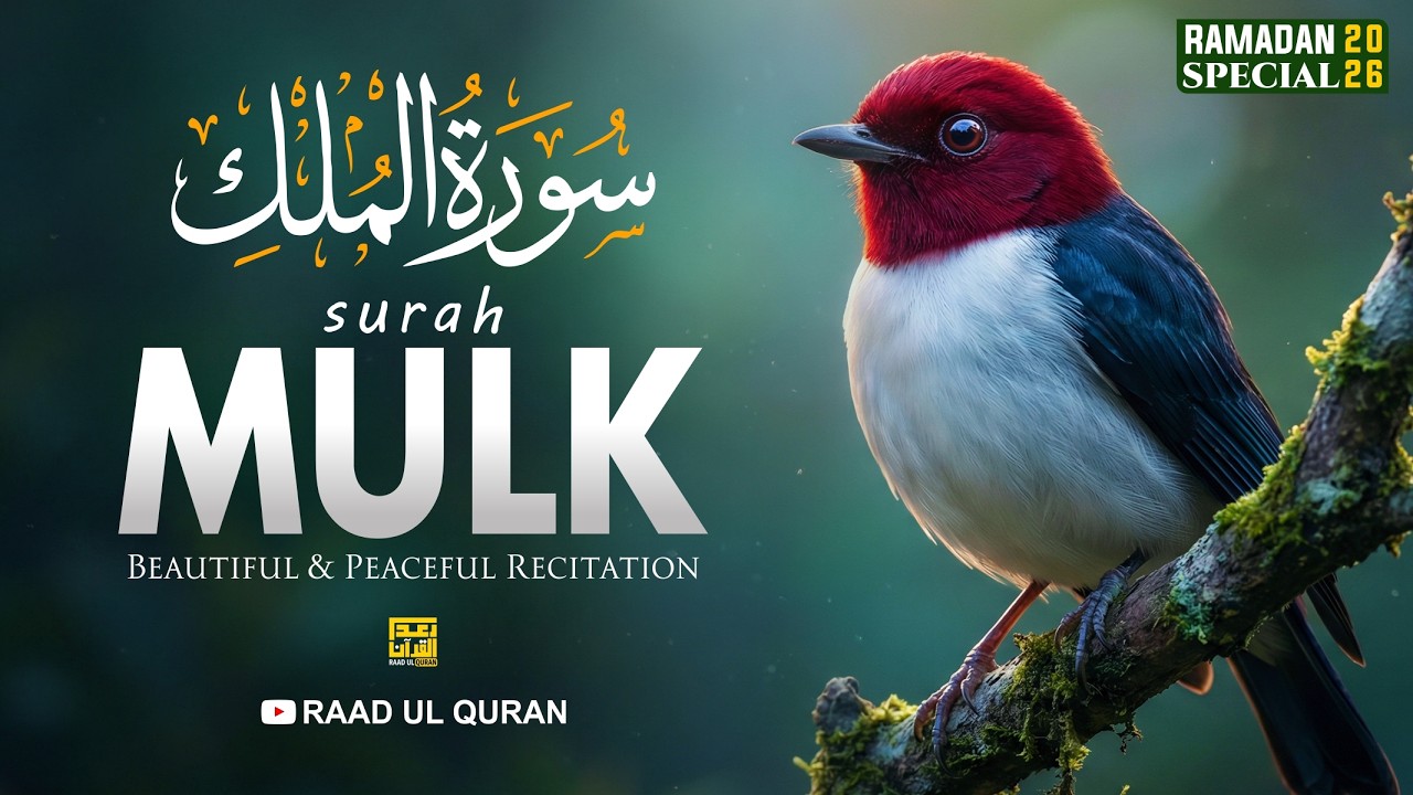 Surah Mulk سورة الملك | Ramadan Morning Recitation | Raad Ul Quran | #surahmulk