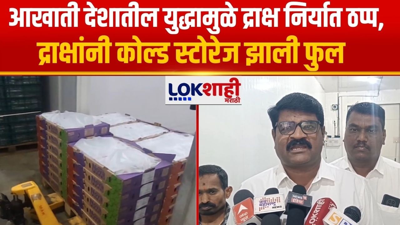 Sangli | आखाती देशातील युद्धामुळे द्राक्ष निर्यात ठप्प, द्राक्षांनी कोल्ड स्टोरेज झाली फुल |Lokshahi