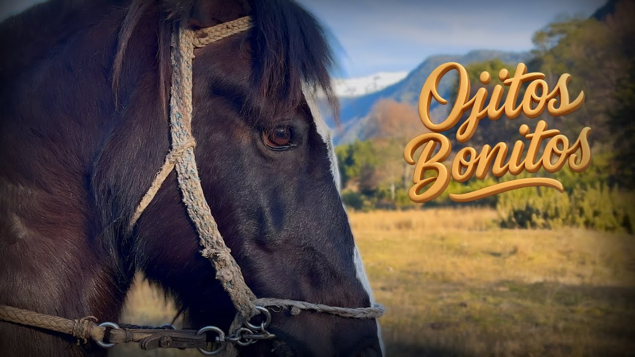 Ojitos Bonitos - Eklipse de Amor (Video Oficial)