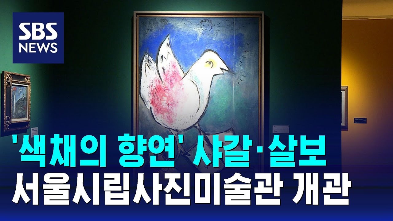 '색채의 향연' 샤갈·살보…서울시립사진미술관 개관 / SBS