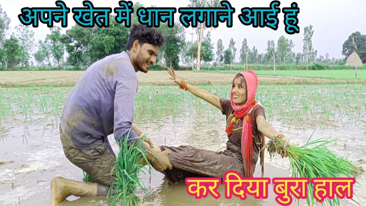मैं पहली बार आई हूं खेत में धान लगाने #dailyvlog #myfirstvlog