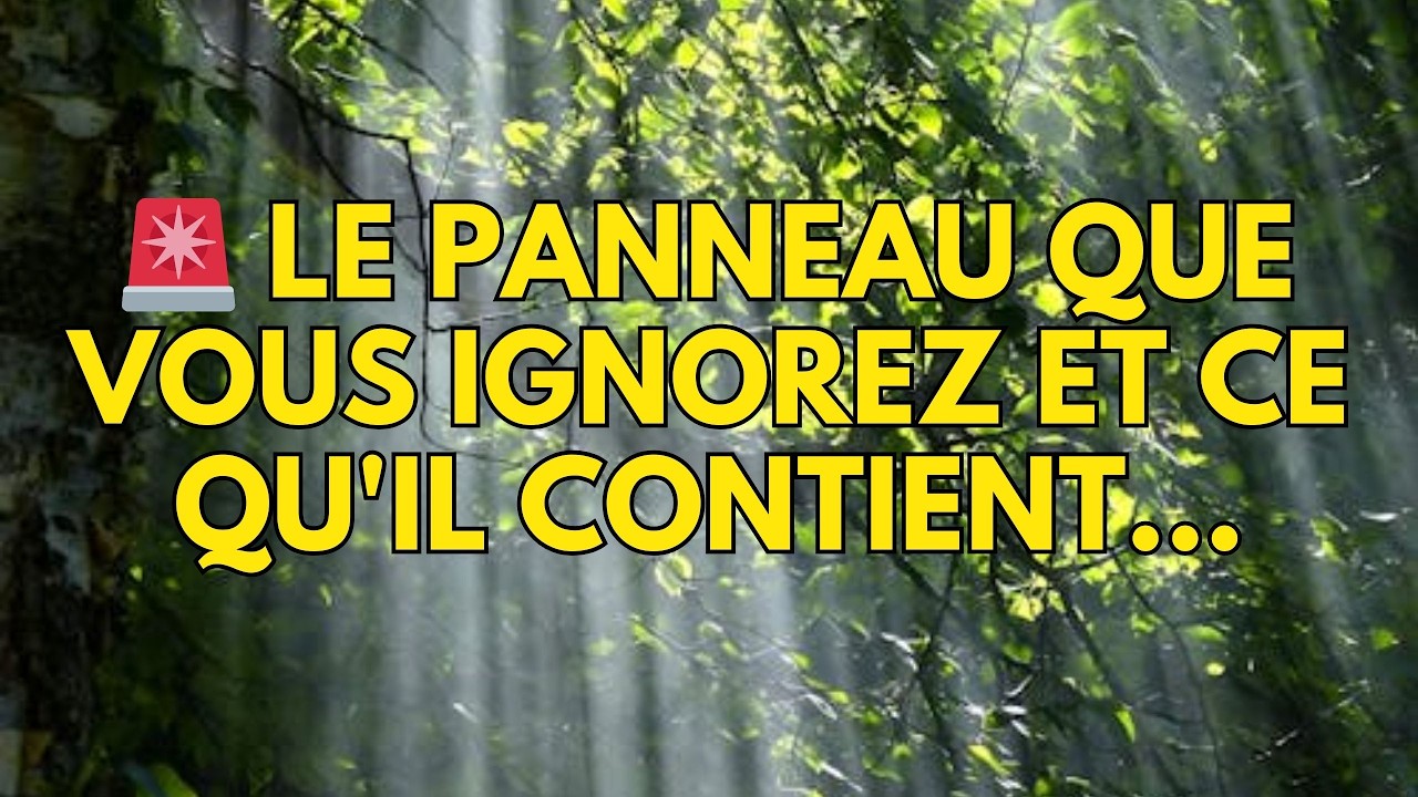 🚨 Le panneau que vous ignorez et ce qu'il contient...