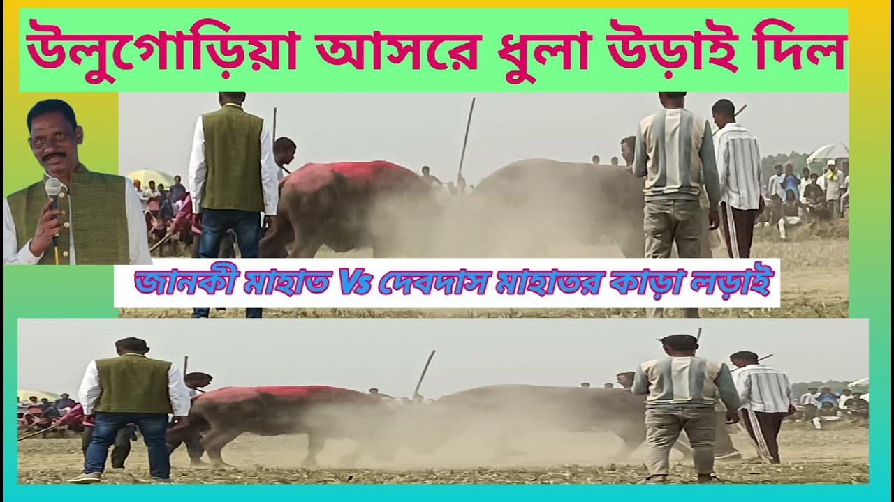 জানকী মাহাত উলুগোড়িয়া  Vs দেবদাস মাহাত কচাহাতু কাড়া লড়াই