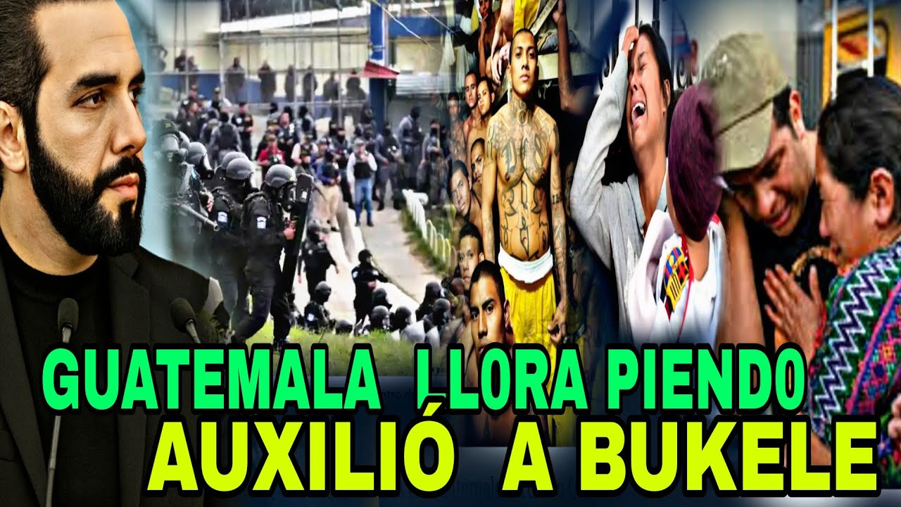 GUATEMALA PIDE  A GRIT0S A BUKELE PANDILLAAS HAN TOMADO EL CONTROL LOS TIENEN DE RODILLAS...