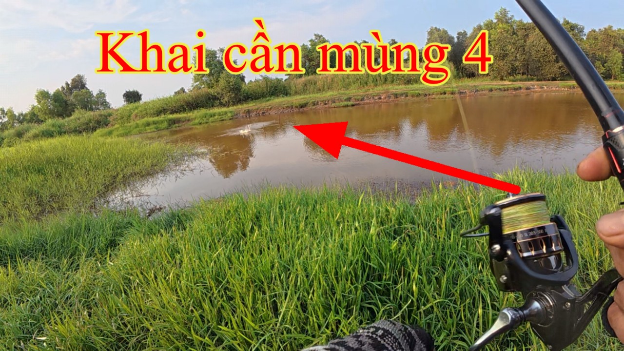 Câu cá lóc dạo khai cần ngày 4 5 6 và cái kết #121#nguyễnsangtv
