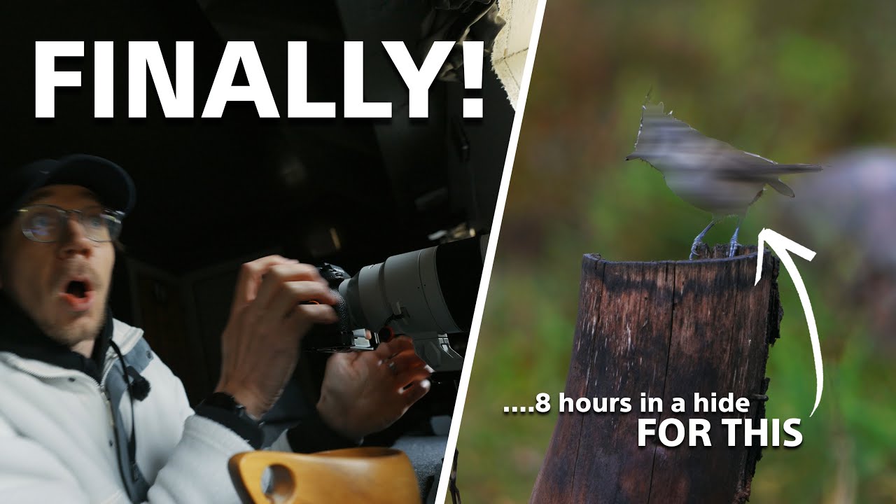 I Spent 8 HOURS In A Photohide | Sony 200-600
