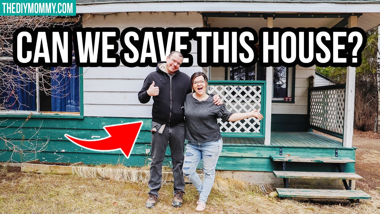 We bought another cabin to turn into an Airbnb!! (It's TINY!)
