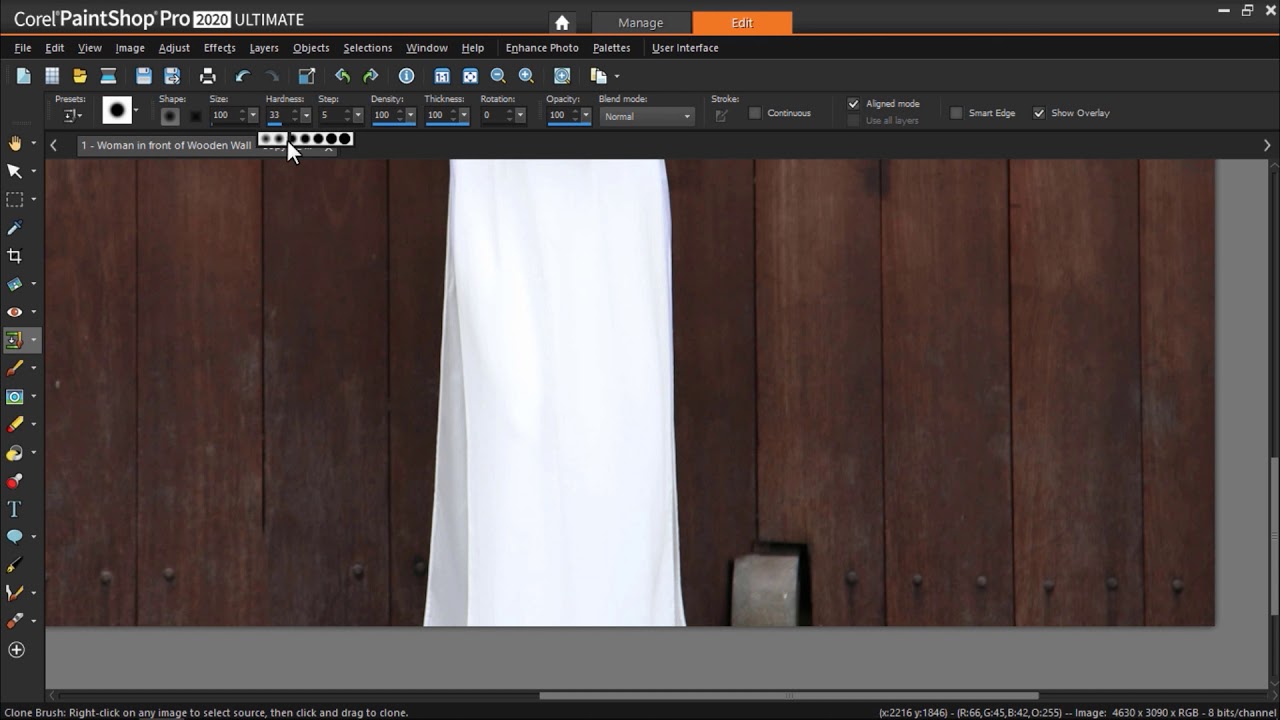 Advanced Cloning Techniques in PaintShop Pro