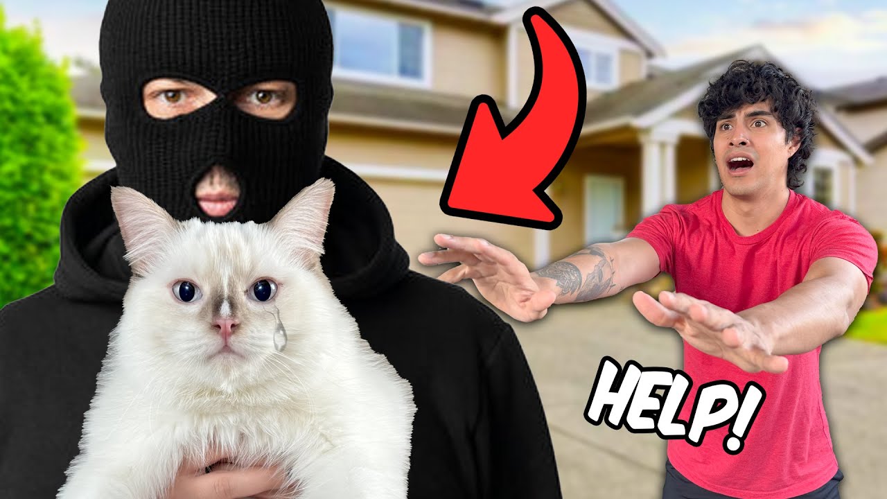 Someone Stole My Cat! (Big Reveal)