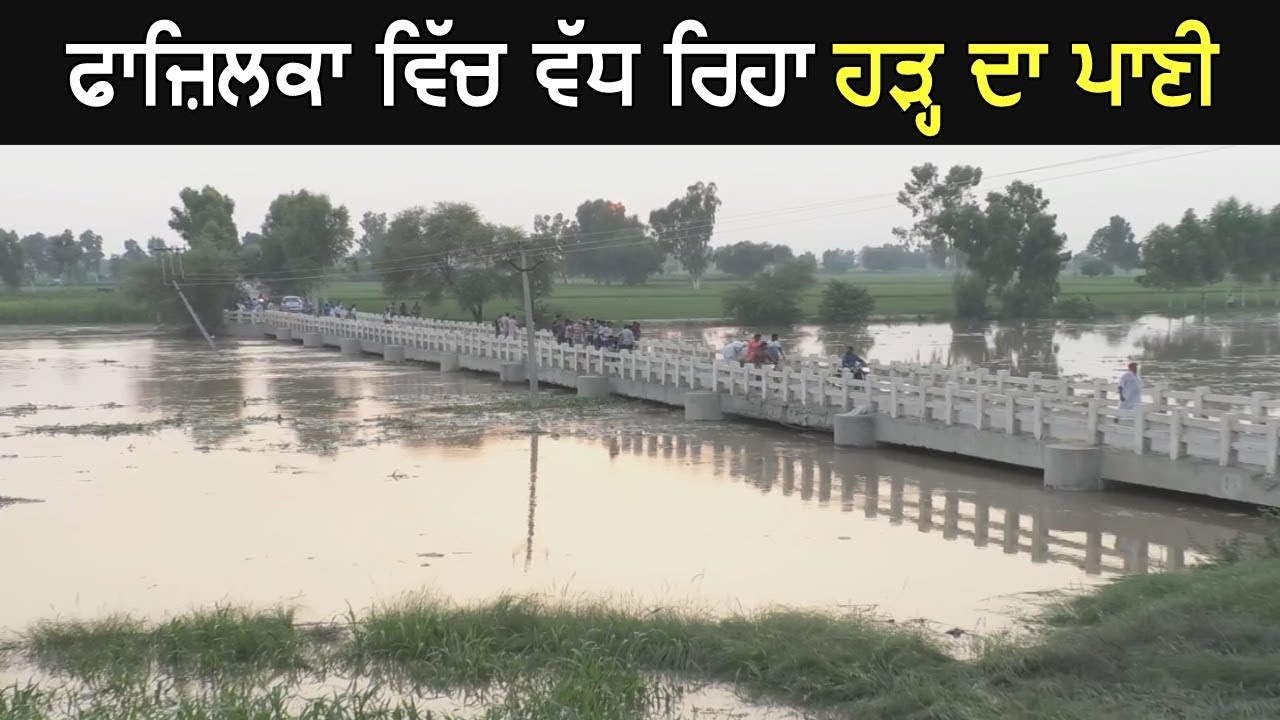 Water Laval Increasing in The Villages of Fazilka - Watch Video