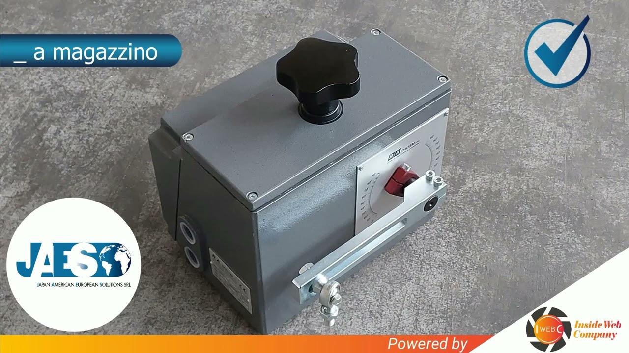 R.A. SYSTEM 4501-1-2460-1-2 (INSTOCK) ELECTRIC SERVOMOTOR - SERVOMOTORE ELETTRICO