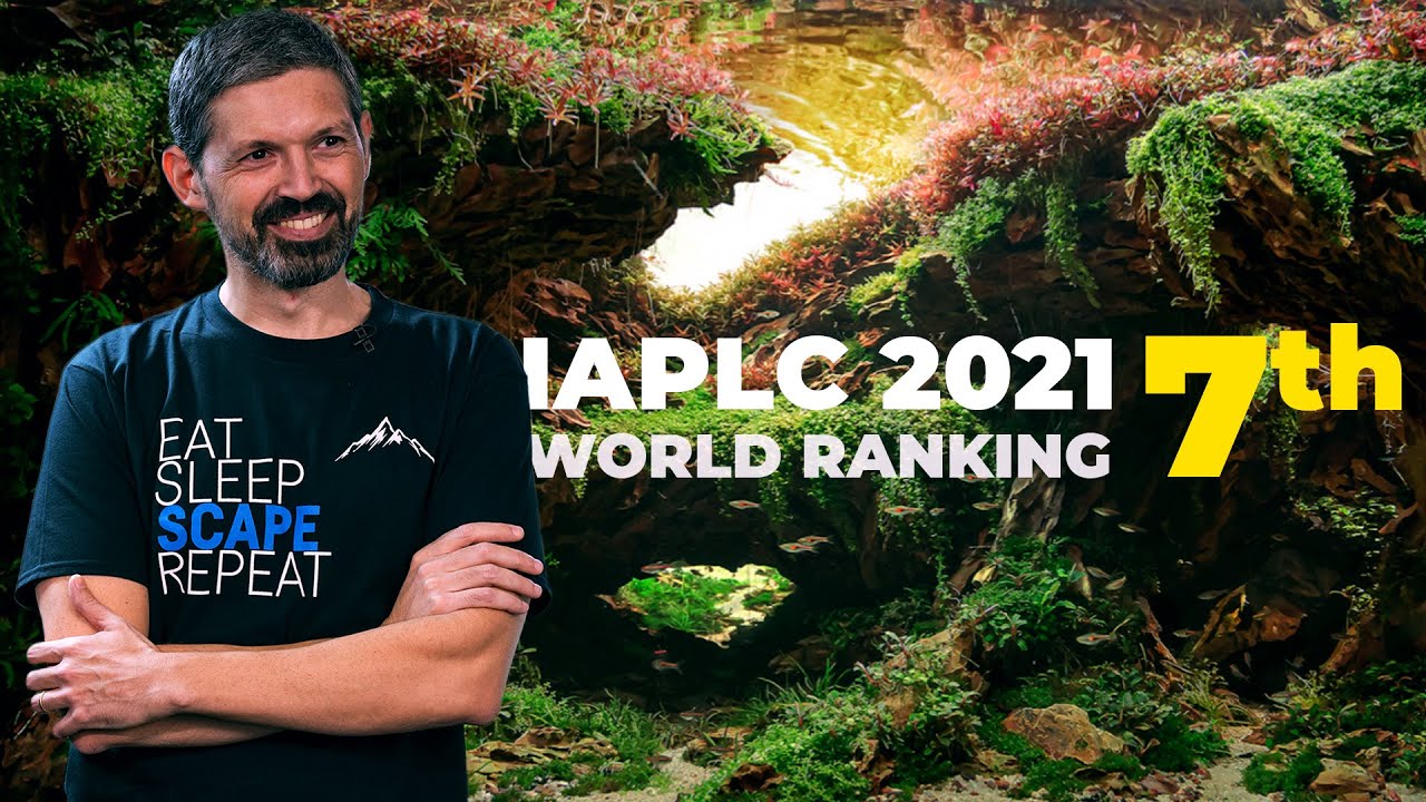 IAPLC Bronze Prize Winner: “How I Made My Aquascape”