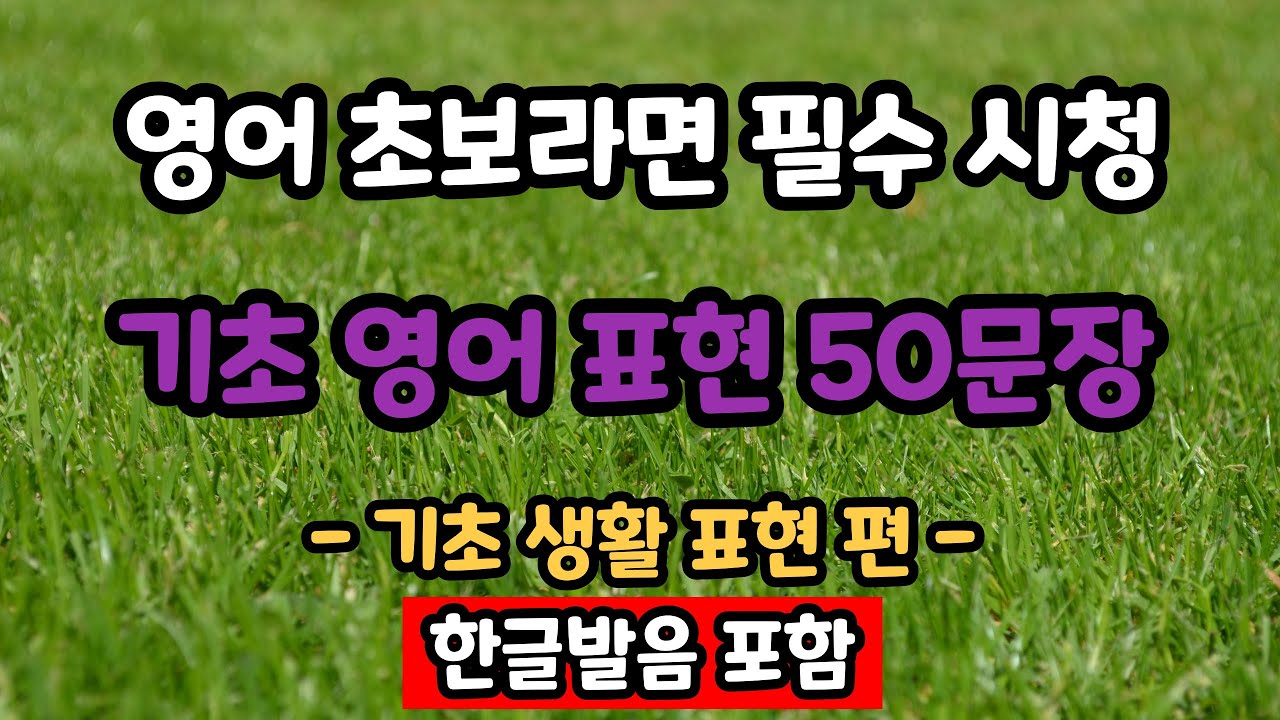 기초 생활 영어 표현 50문장 #3 | 꼭 알아야 하는 왕초보 필수 표현 | 생활영어 | 영어표현 | 기초영어 | 시니어영어
