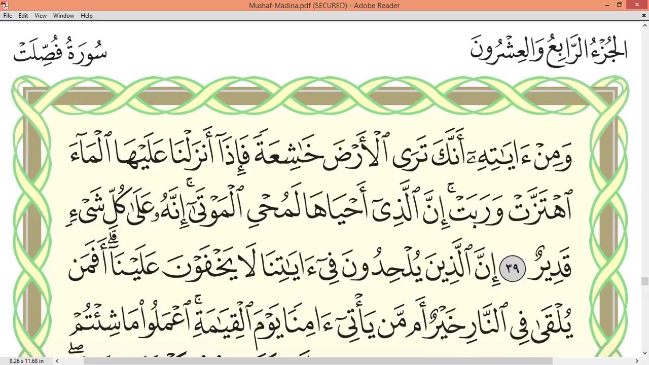 Practice reciting with correct tajweed - Page 481 (Surah Fussilat)