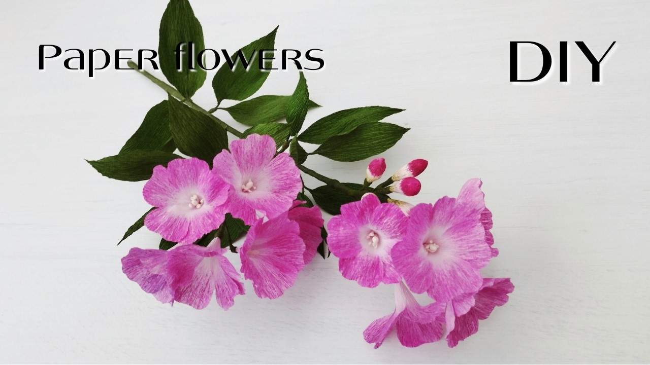 How to make mansoa paper flowers🌺2025-05-12#DIYPaperflowercraft#Paperflowertutorial#homedecoration