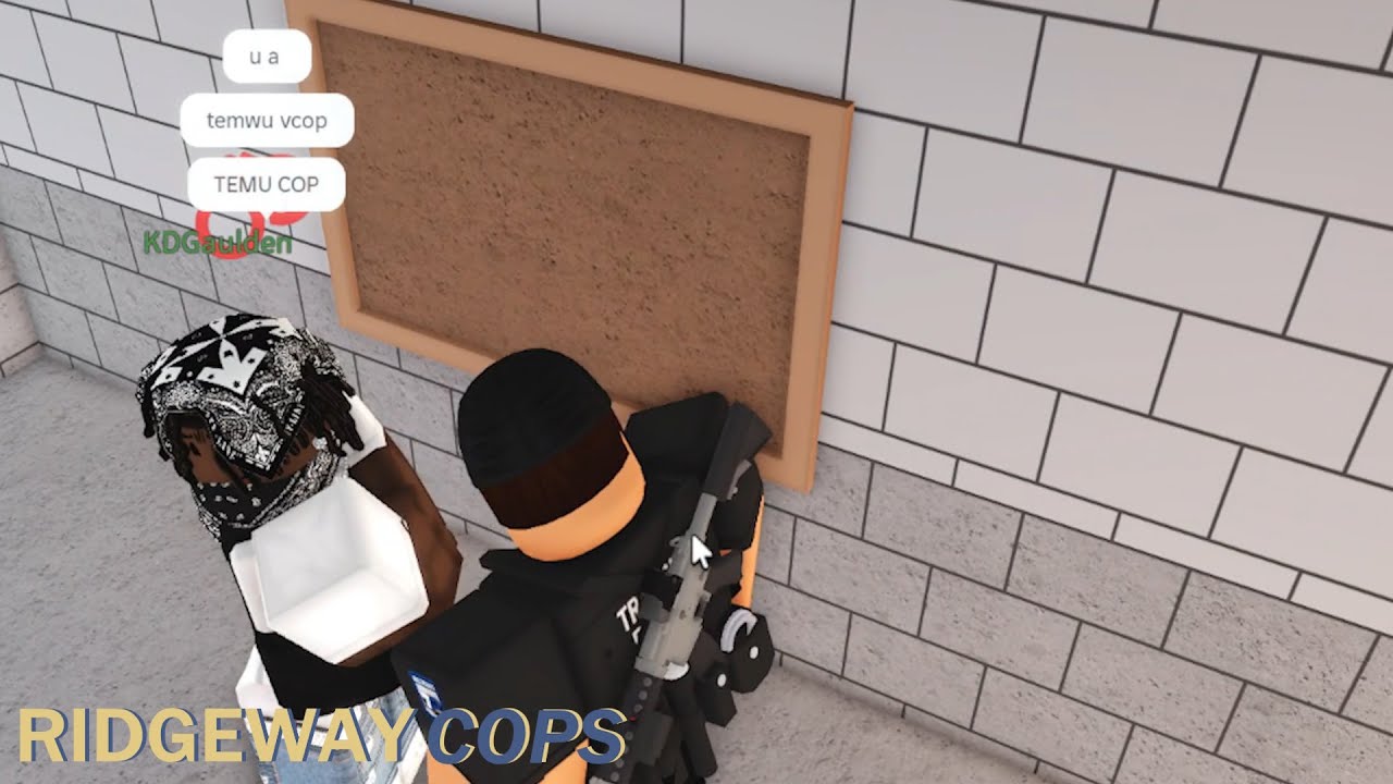 Ridgeway County Roblox | RCSO Patrol | Episode 14 - TEMU COP