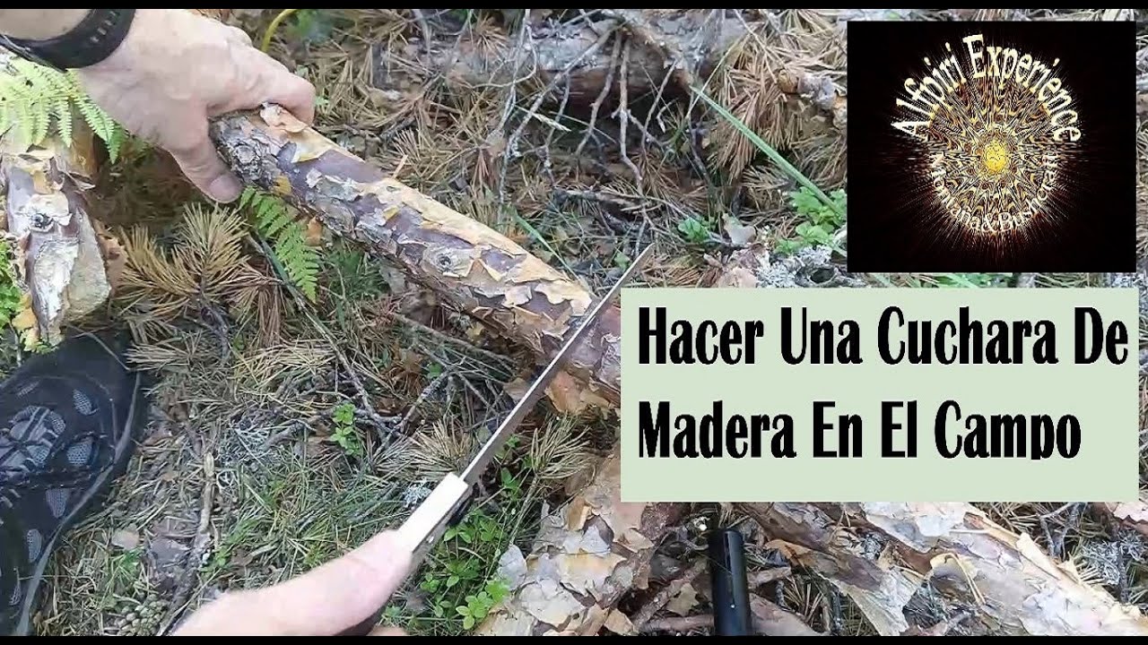 Hacer Una Cuchara De Madera En El Campo #bushcraft #woodworking #diy