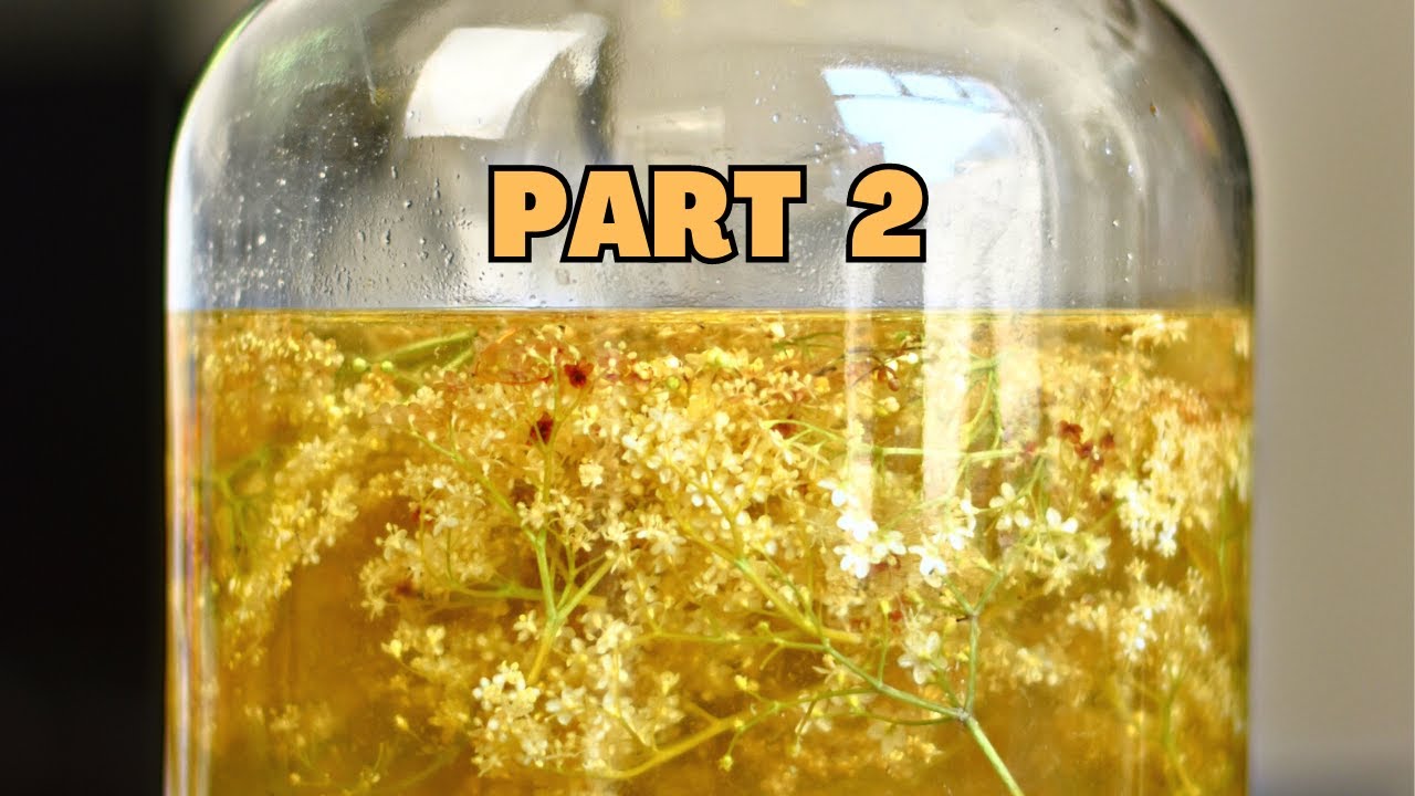 How to make Elderflower Mead from scratch (part 2)