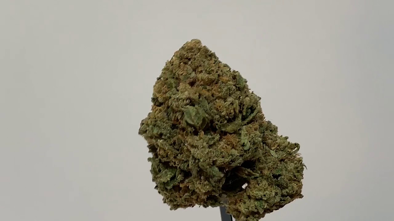 Gorilla Cookies