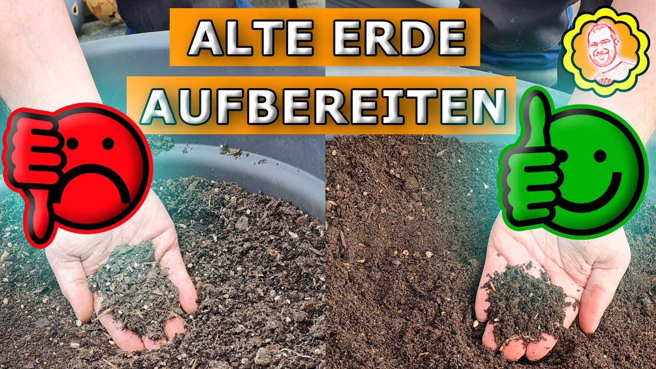 Alte Erde aufbereiten und immer wieder neu nutzen: Einfach erklärt.