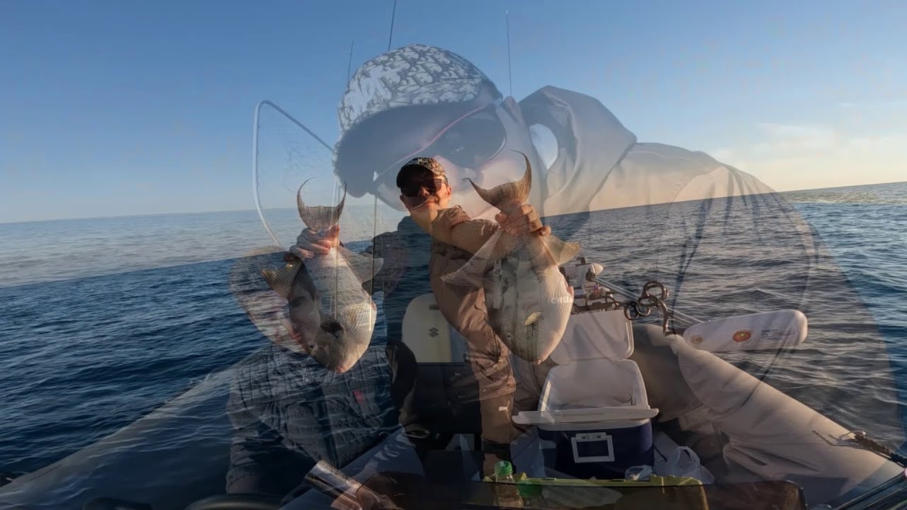 Ne renk silikon kullanmalıyım? Bot mu fiber tekne mi tercih etmeliyim? Domuz balığı nasıl avlanır?