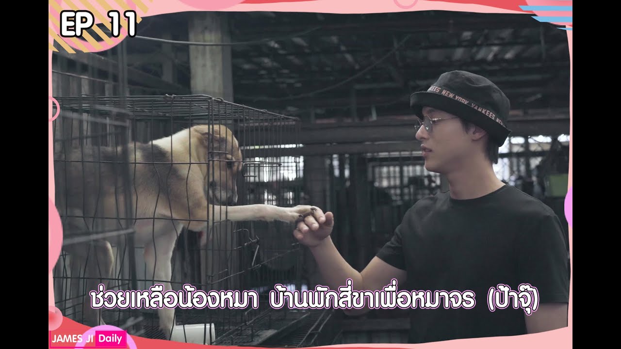 เจมส์จิ ช่วยเหลือน้องหมา บ้านพักสี่ขาเพื่อหมาจร ( ป้าจุ๊ )