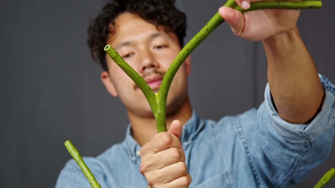 Fluora: Bending Stems