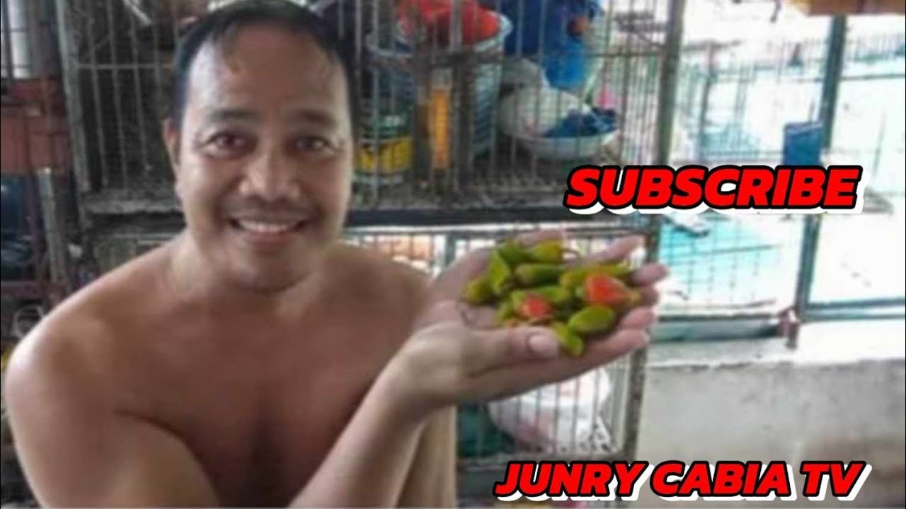 JUNRY CABIA TV is live!//JUNRY CABIA TV IS LIVE