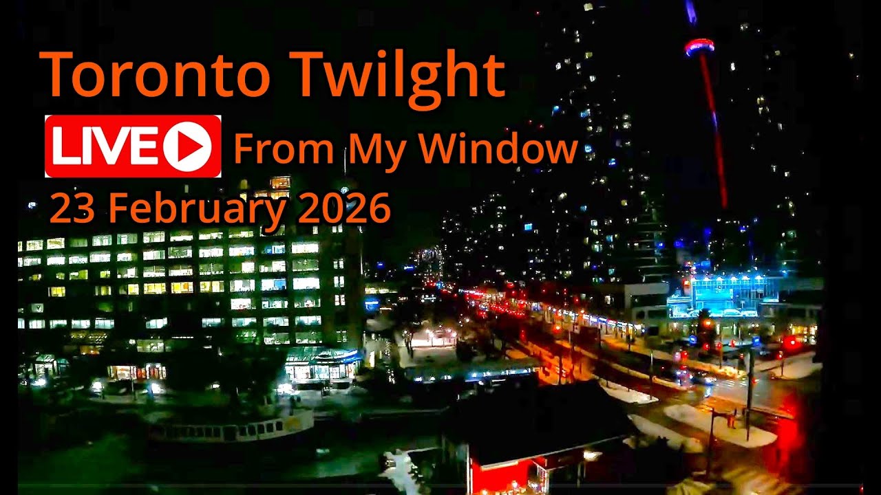 🔴Toronto Window Cam LIVE HD | MaoChow Adventure 23rd Feb 2026 Twilight to Morning