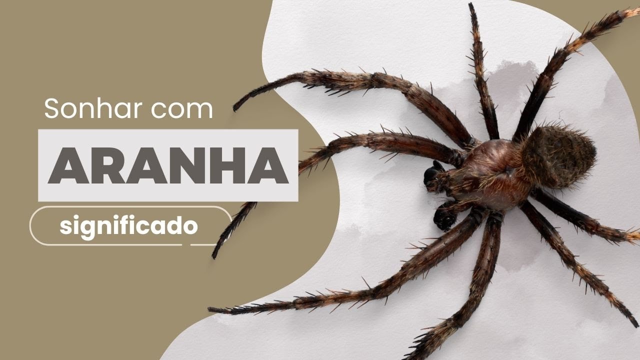 Sonhar com aranha: é um mau presságio?