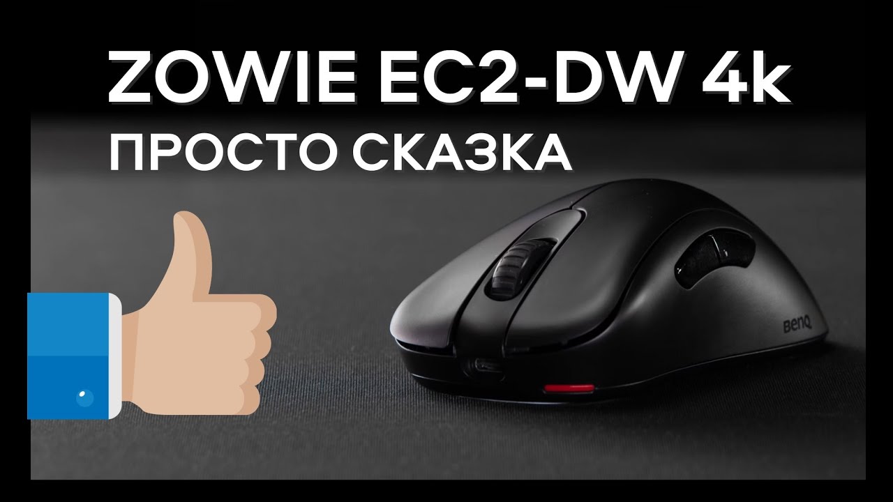Zowie EC2 DW - топ мышь за много денег.