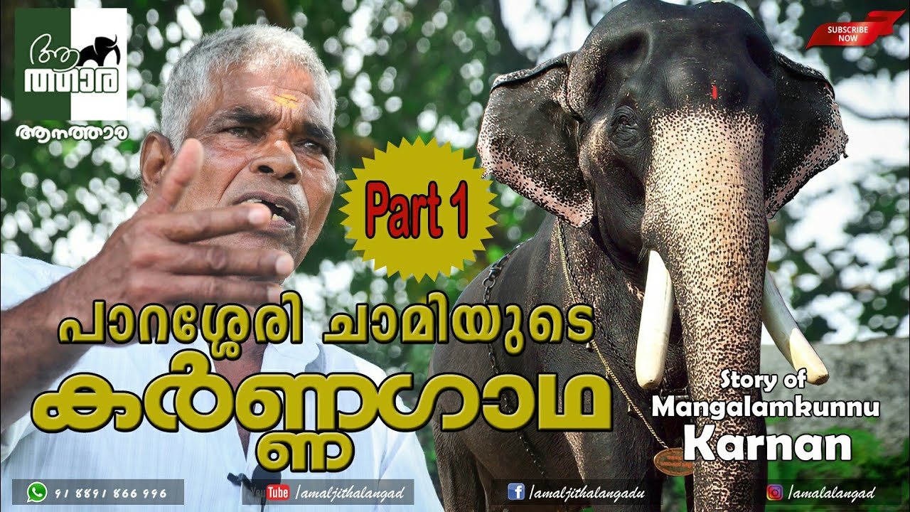 പാറശ്ശേരി ചാമിയുടെ കർണ്ണഗാഥ..Part 1 Mangalamkunnu Karnan|Parassery Chami|aanatthaara|kerala elephant