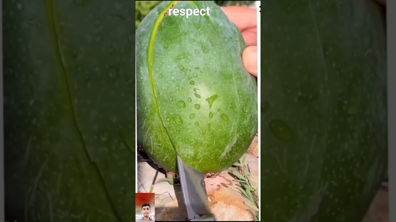 Chippy in the watermelon! 😄🐿 