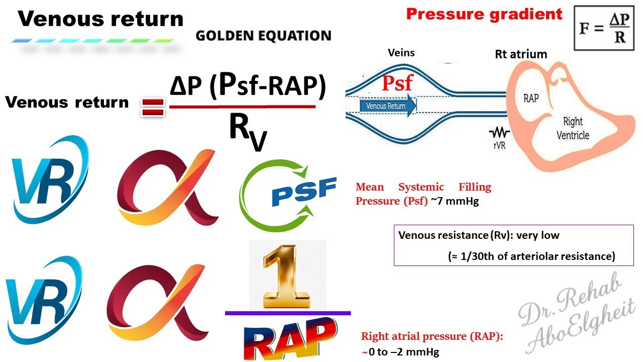 Cardiovascular Physiology Venous Return