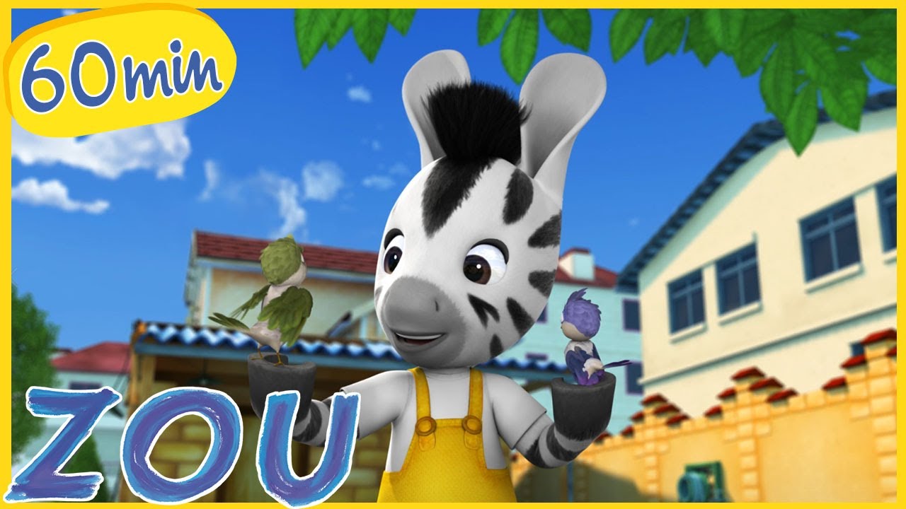Zou Compilatie 🦓 Zou en de babyvogel 🐦 kinderen cartoon