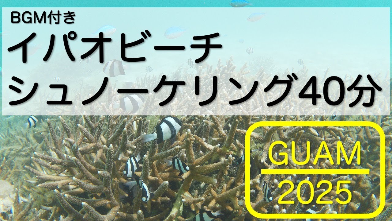 グアム/イパオビーチ・シュノーケリング・BGM付40分【Guam/Ypao Beach Snorkeling with BGM 40Min.】