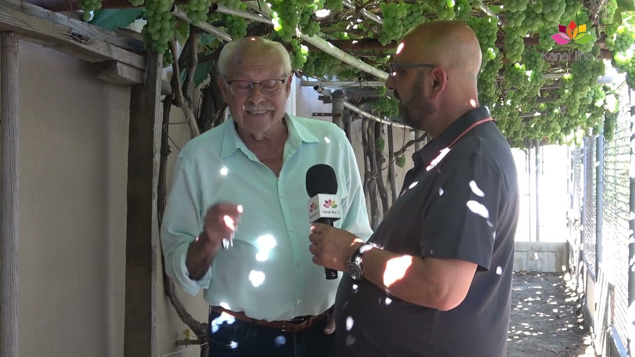 ANSELMO CORREIA 89 ANOS NATURAL DA FREGUESIA DOS ALTARES ARTESIA 2025