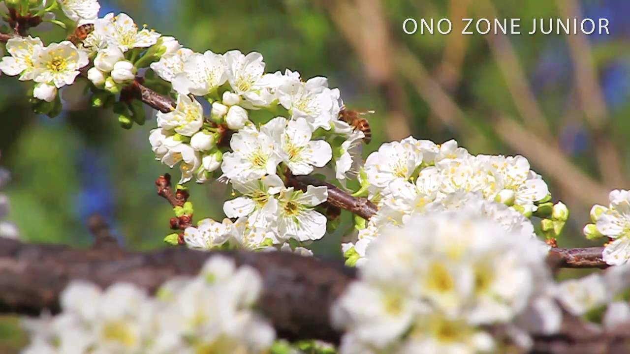 ONO ZONE Apart Caba&ntilde;as - Capilla del Monte