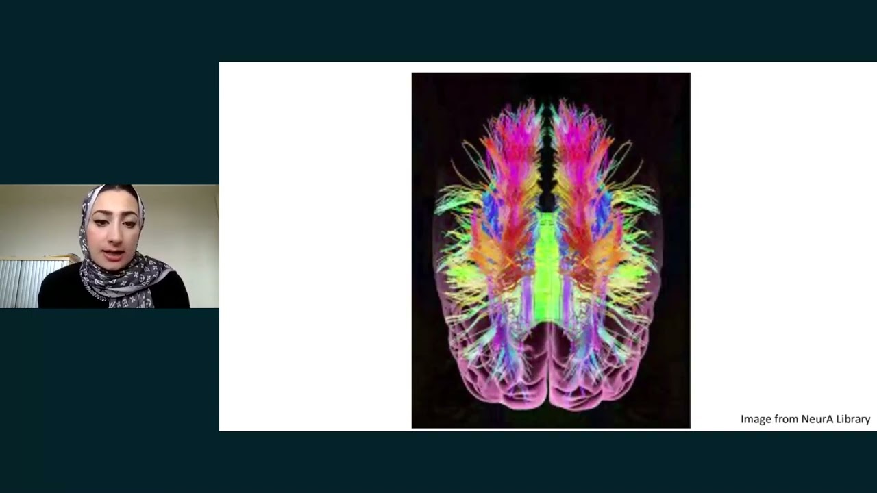 Session 3: Neuroscience 1 - MRCPsych Paper A