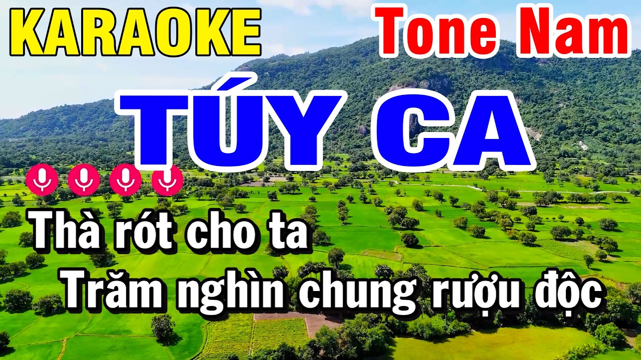 Karaoke Túy Ca Nhạc Sống Tone Nam Beat Chuẩn | Karaoke Huỳnh Lê