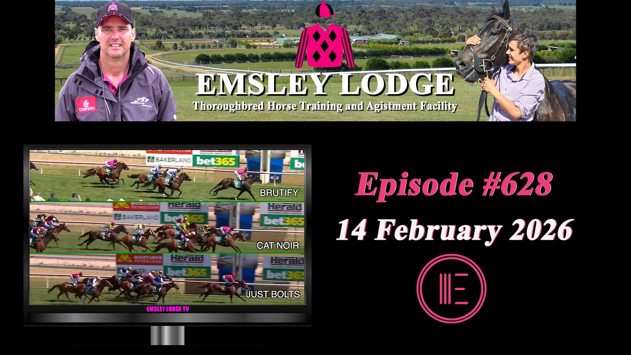 Отчет по Эмсли Лодж от 14 февраля 2026 г.