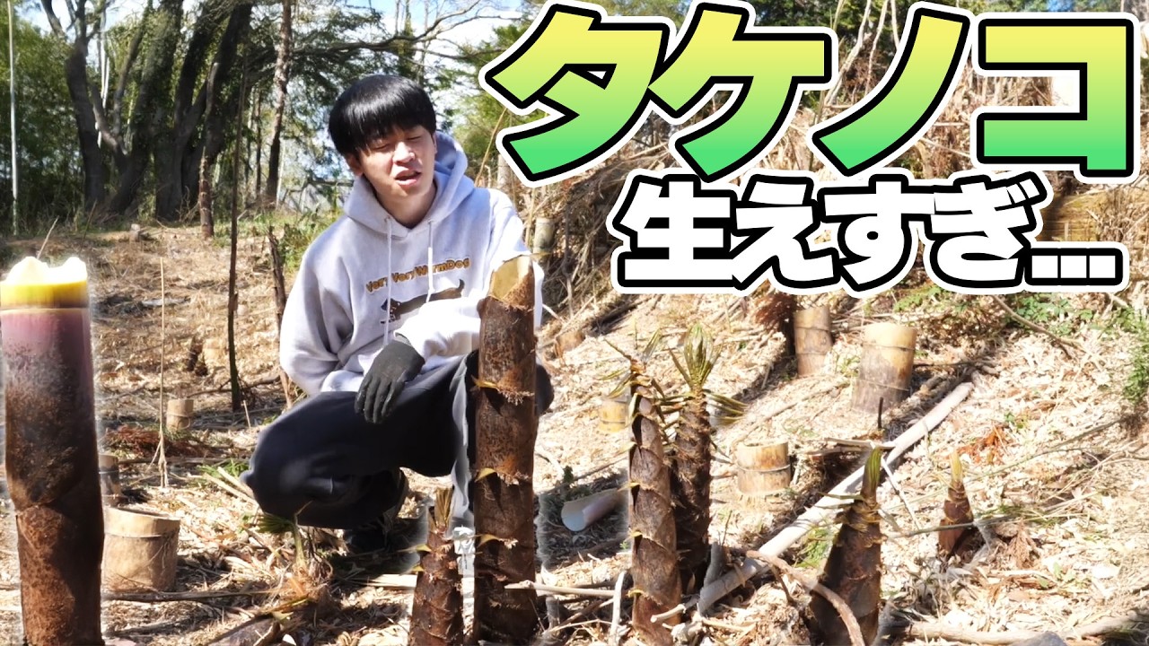 自宅にタケノコが生えすぎてヤバイ【豊作】