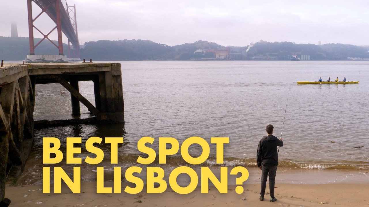 New fishing spot in Lisbon! (under the city's coolest bridge)