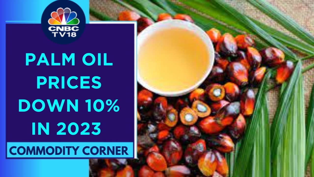 EL Nino Likely To Impact Major Palm Growing Areas In H2 2024: Sime Darby Oils Trading | CNBC TV18