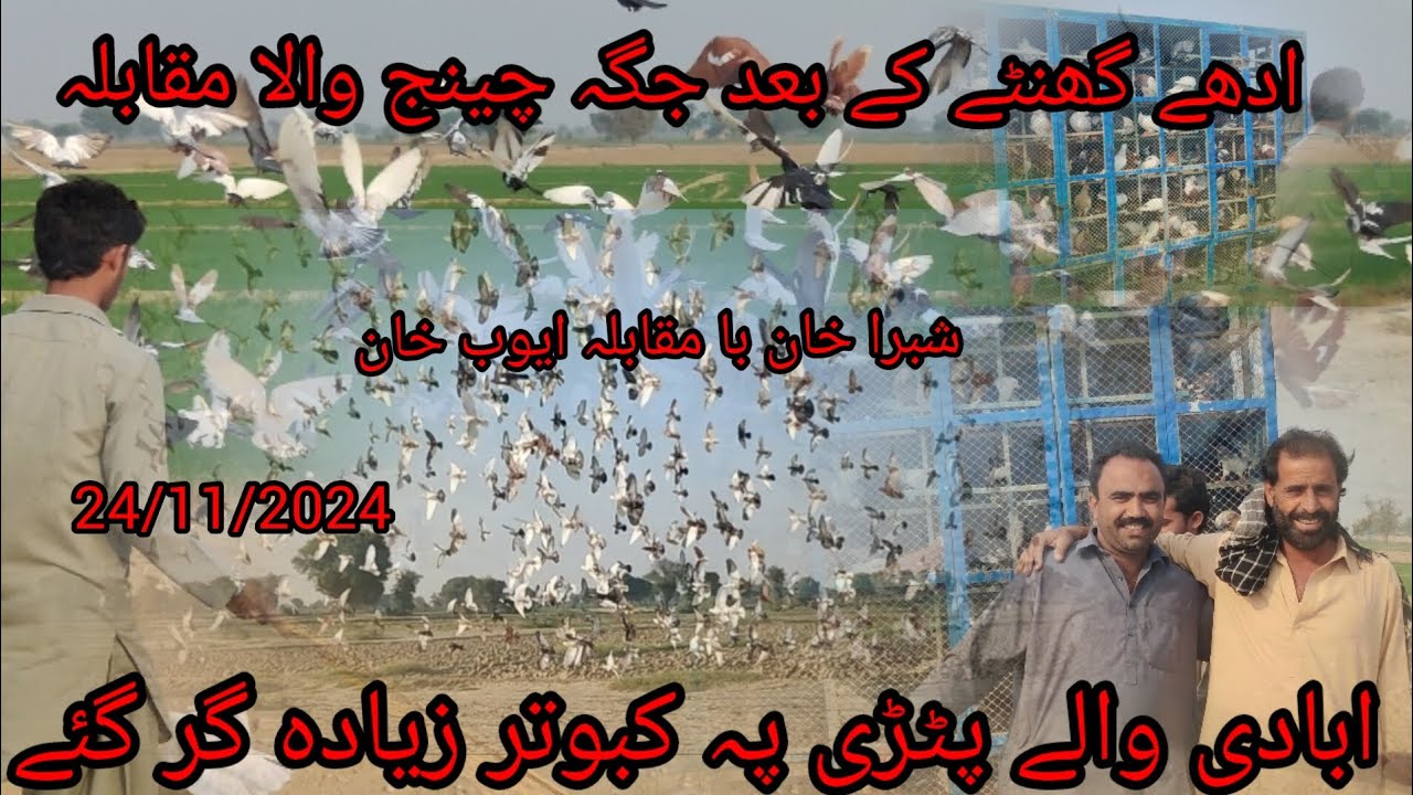 pahli bar mukabala abadi wali patari per bahut jyada kabutar gir Gaye