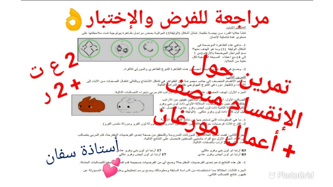 حل تمرين حول الإنقسام المنصف وأعمال مورغان 🥰 تحضيرا للفروض والإختبارات